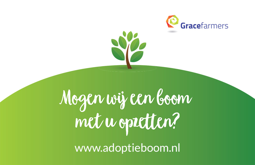 adoptieboom