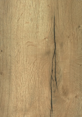 T600 - Natuur eik